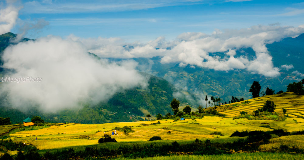 Mù Cang Chải còn được mệnh danh là “xứ sở của mây mù, núi cao và khe sâu”. Nơi đây thường được bao phủ bởi những biển mây trắng bồng bềnh khắp các triền núi tạo ra vẻ đẹp tiên cảnh.