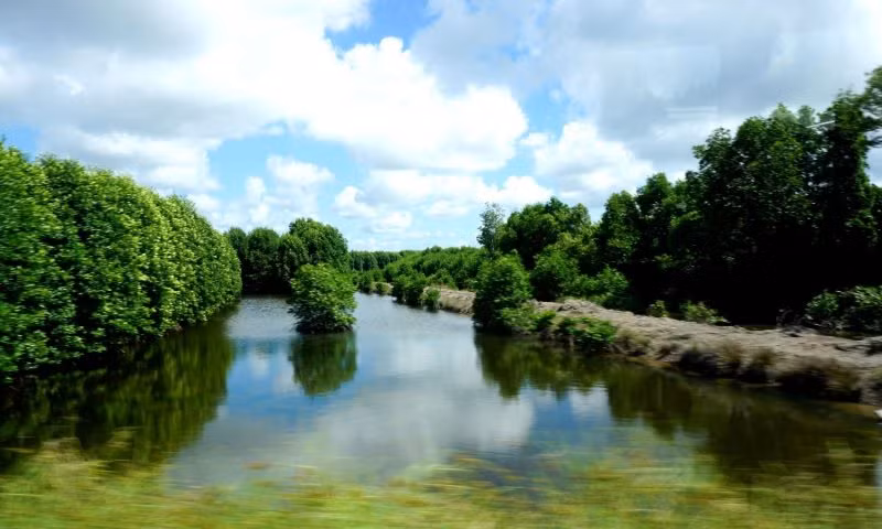 Nhung thu vi it nguoi biet ve Dat rung phuong Nam cua Doan Gioi ​-Hinh-10