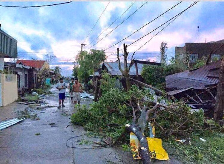 Cây cối đổ rạp hai bên đường ở Bato, Catanduanes. Ảnh FB