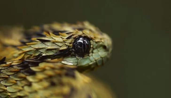 Phúc lành đến với bạn trong năm Nhâm Dần 2022 có lẽ là hồi đáp chân thực và cảm động nhất cho bạn sau những năm tháng miệt mài cố gắng. Tay trái nắm yêu thương, tay phải đón tài lộc. 