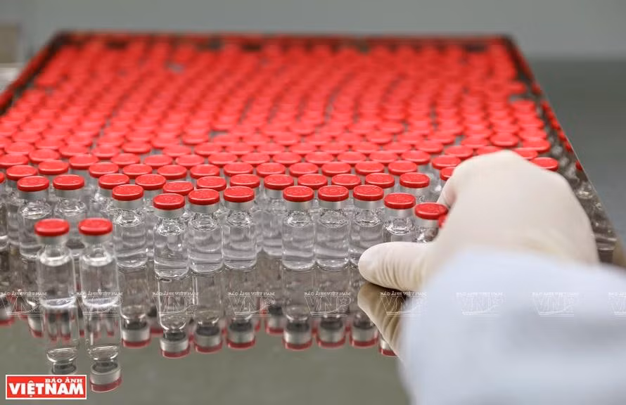 Can canh quy trinh gia cong vac xin Sputnik V tai Viet Nam-Hinh-7