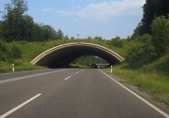 Cầu bắc qua đường cao tốc 464, Boeblingen, Đức.