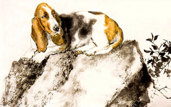 Cũng bởi vì lương thiện nên họ luôn được ơn trên phù hộ vì thế mà họ có rất nhiều phúc khí. Người tuổi Tuất sống hiền lành, biết yêu thương giúp đỡ người khác thì vận may chắc chắn sẽ tìm đến. Cuộc đời của con giáp này không giàu có thì cũng đủ đầy bình yên, luôn được quý nhân giúp đỡ.