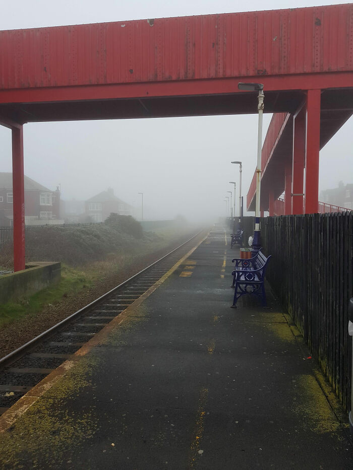 Một sân ga trong sương sớm, đẹp nhưng đầy bí ẩn.