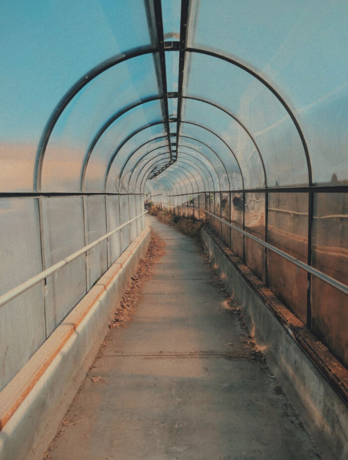 Hành lang này khiến bạn có cảm giác không nên quay lại mà hãy cứ tiếp tục bước đi.