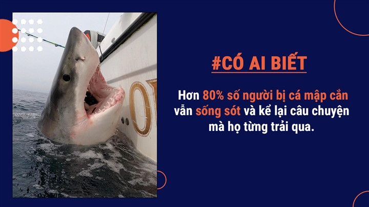 Bởi vì đặc điểm không thích mùi vị con người mà chúng thường cắn rồi sau đó thả nạn nhân. Đôi khi, cá mập thường có xu hướng đến gần con người khi họ bơi, để xem xét rồi lại rời đi.