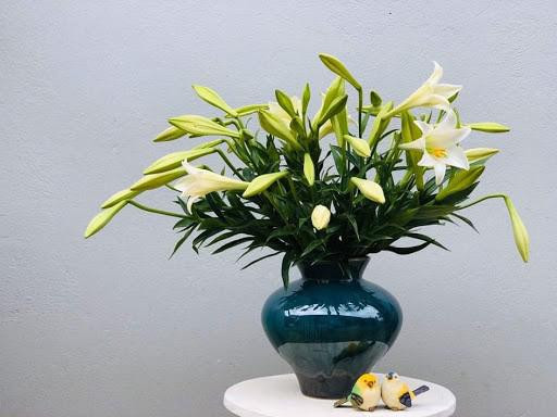 Tat bat thu tien nho 