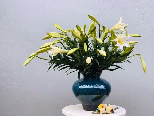 Tat bat thu tien nho 