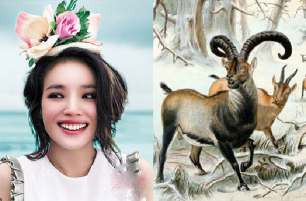 Từ ngày 10/5 trở đi người tuổi Mùi sẽ bất ngờ được thần tài chiếu cố nồng hậu. Từ đầu tuần, tuổi Mùi đã gặp được nhiều hỷ sự, giúp tinh thần của họ thoải mái, bên cạnh đó tuổi Mùi còn gặp được cơ hội làm giàu, tăng thêm thu nhập, giúp cuộc sống vui vẻ, hạnh phúc hơn rất nhiều. 