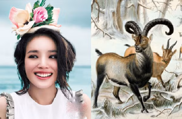 Từ ngày 10/5 trở đi người tuổi Mùi sẽ bất ngờ được thần tài chiếu cố nồng hậu. Từ đầu tuần, tuổi Mùi đã gặp được nhiều hỷ sự, giúp tinh thần của họ thoải mái, bên cạnh đó tuổi Mùi còn gặp được cơ hội làm giàu, tăng thêm thu nhập, giúp cuộc sống vui vẻ, hạnh phúc hơn rất nhiều. 