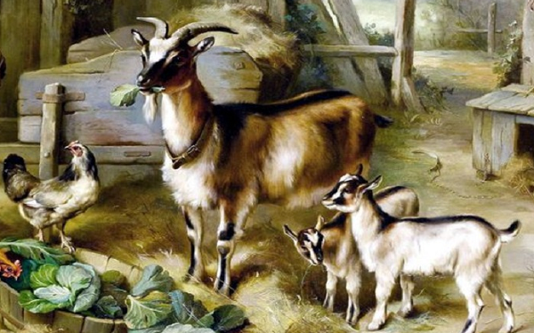 Những tháng đầu năm, công việc và tài vận dần được cải thiện, những món nợ tưởng chừng như không thể trả nổi thì bất ngờ tìm được hướng giải quyết tốt đẹp hơn. Đặc biệt, trong cuối tháng 7 này, tuổi Mùi sẽ khổ tận cam lai, vận may bất ngờ lội ngược dòng, không những được thần tài chiếu cố mà quý nhân cũng xuất hiện để cứu vớt mọi thứ. 