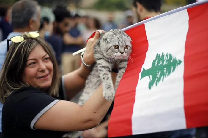 Người biểu tình ôm con mèo của mình và lá cờ Lebanon trong cuộc biểu tình ở Beirut, Lebanon. Ảnh: AP