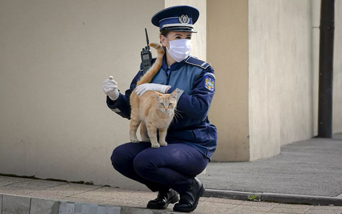 Nữ cảnh sát chơi với con mèo bên ngoài nhà thờ ở Bucharest, Romania. Ảnh: AP