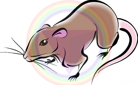 Bước qua tháng 6 âm lịch, người tuổi Tý có nhiều hỷ lộc nên cuộc sống thăng hoa. Đầu tháng Tý có quý nhân phù trợ. Giữa tháng lại có vận đào hoa. Tới cuối năm thì công thành danh toại, sự nghiệp vững ổn chưa đủ mà còn giàu có mỹ mãn.