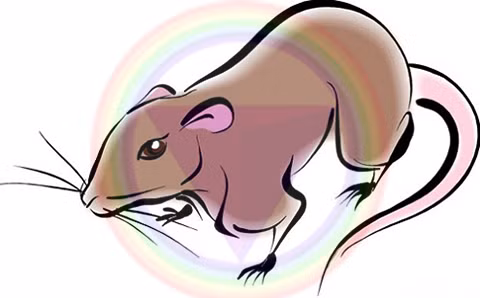 Bước qua tháng 6 âm lịch, người tuổi Tý có nhiều hỷ lộc nên cuộc sống thăng hoa. Đầu tháng Tý có quý nhân phù trợ. Giữa tháng lại có vận đào hoa. Tới cuối năm thì công thành danh toại, sự nghiệp vững ổn chưa đủ mà còn giàu có mỹ mãn.