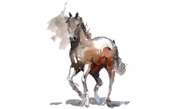 Trong thời gian này, những người tuổ Ngọ cần hạn chế tính phóng khoáng của mình kẻo dễ rơi vào tình trang chi nhiều hơn thu trong thời gian sắp tới. Tử vi cho biết trong thời gian này tuổi Ngọ không được may mắn về tiền bạc tài chính, nên bạn đừng có dại mà vung tay quá trán nhé. (*Thôn tin trong bài chỉ mang tính chất tham khảo). 