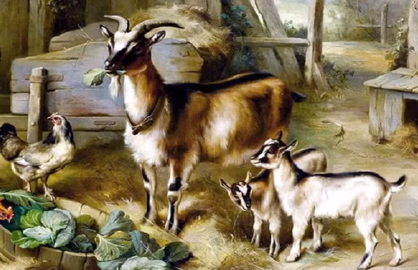 Họ tuy có vẻ ngoài giản dị và không mấy nổi bật nhưng lại có vượng vận quý nhân. Vì có quý nhân phù trợ nên cuộc đời của họ gặp khá nhiều may mắn. 