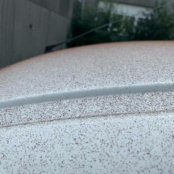 Ngày 14/8/2020, một cơn mưa bụi sô cô la đã phủ xuống như tuyết rơi tại một thị trấn ở Thụy Sĩ do lỗi kỹ thuật của nhà máy trong vùng.