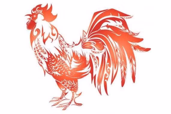 Nếu muốn thử sức trong lĩnh vực mới hoặc đang ấp ủ những dự định nào đó, đây chính là thời cơ tốt để Dậu thực hiện những việc này. Tương lai hứa hẹn mang đến nhiều vận may và tài lộc cho người tuổi Dậu.