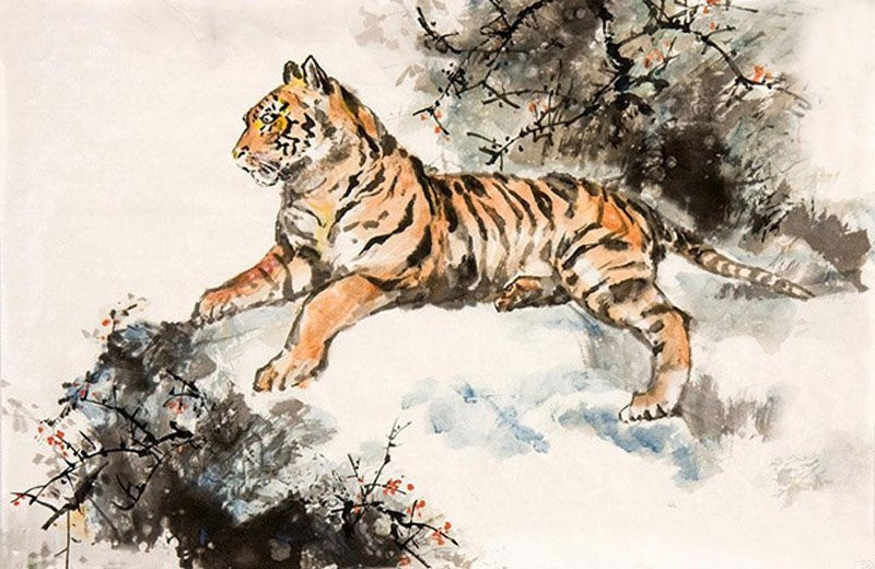 Thời gian qua, con giáp tuổi Dần bị các sao xấu, hung tinh trấn yểm nên thường vướng vào những chuyện xui xẻo vặt vãnh. Đến cuối năm 2021 mới là thời gian phát tài phát lộc của họ.