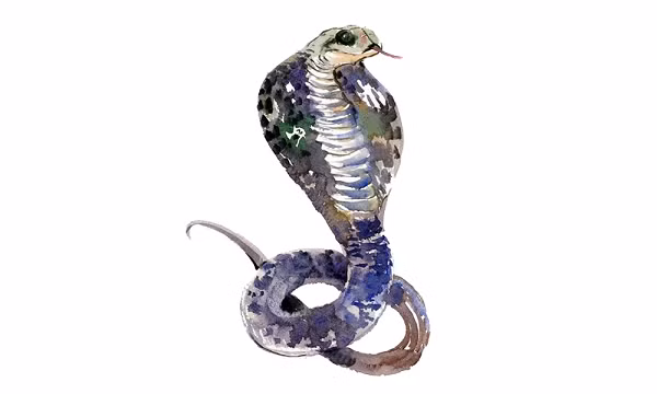 Thêm vào đó, những người tuổi Tỵ nên tránh xảy ra xích mích với người xung quanh, đặc biệt là đồng nghiệp thì vận đỏ sẽ càng rực rỡ hơn. Với những người tuổi Tỵ dù làm công ăn lương cũng dễ dàng thăng tiến trong công việc, tài lộc lên hương viên mãn ít ai sánh bằng. 