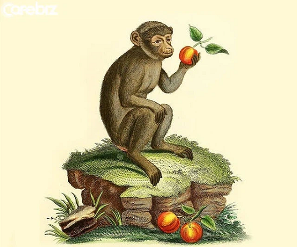 Nếu còn độc thân thì sẽ có cơ hội gặp gỡ, tìm hiểu người phù hợp với mình. *Thông tin chỉ mang tính tham khảo