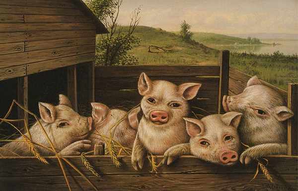 Những người tuổi Hợi quả thực đã có 1 khoảng thời gian khá khó khăn trong quá khứ và hiện tại, gặp đủ chuyện xui xẻo ngoài ý muốn. Nhưng do những nỗ lực mà tuổi Hợi đã bỏ ra nên trong thời gian 3 năm tới tuổi Hợi có đủ mọi vinh hoa phú quý. 