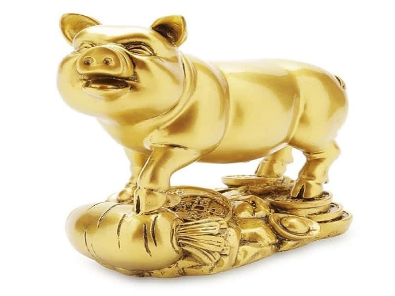 Trong thời gian này người tuổi Hợi không chỉ may mắn về công việc tài lộc mà họ còn rất may mắn về đường tình duyên. 