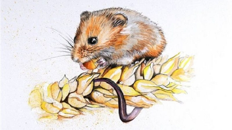 Bước sang năm 2022, bản mệnh được các sao tốt Hồng Tây và Hạ Tây chiếu cố nên gặp nhiều may mắn, tài lộc hanh thông. Nếu nắm bắt được cơ hội, sự nghiệp sẽ phát triển tốt, cuộc sống bước sang một trang mới tốt đẹp hơn.