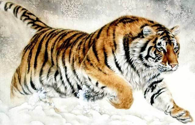 Đối với người đàn ông tuổi Dần, gia đình chính là số 1, là động lực làm việc của họ. Sau khi kết họ, đều đặt mục tiêu làm sao để mang đến cuộc sống tốt hơn cho gia đình. Đàn ông tuổi Dần chính là hình mẫu người chồng chu đáo, đáng tin cậy.