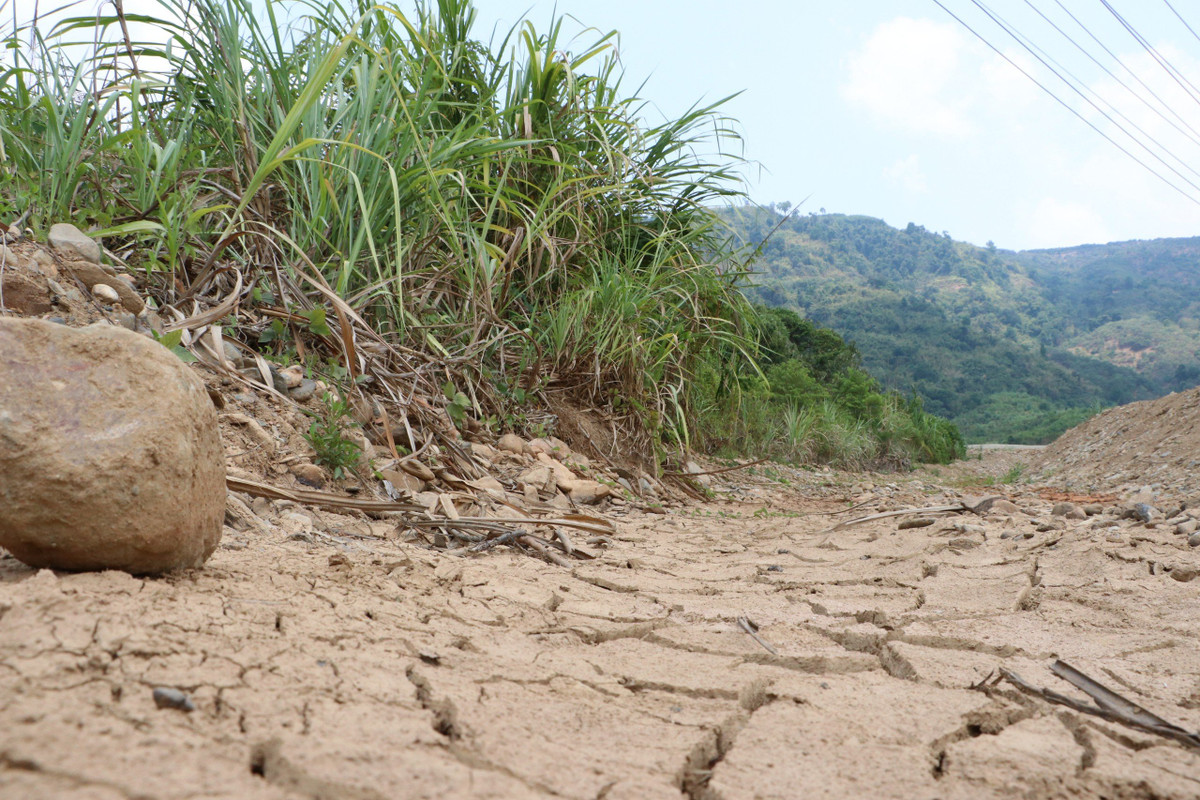 Lòng suối phơi ra lớp phù sa nứt nẻ