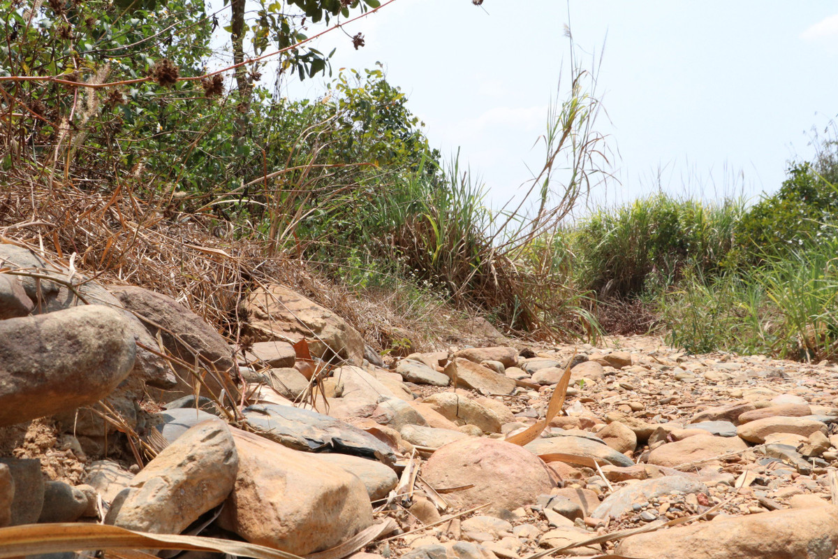 Con suối này đã cạn khô nhiều tháng nay