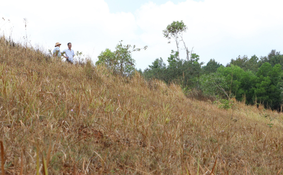 Ông Phan Công Hà, ngụ huyện Đạ Tẻh cho biết, hàng chục máy bơm của người dân nằm ngổn ngang nhưng không có nước để bơm tưới. Các hộ dân này thay nhau bơm cầm chừng nhưng nếu không có mưa trong những ngày tới thì hồ này sẽ không còn một giọt nước nào.