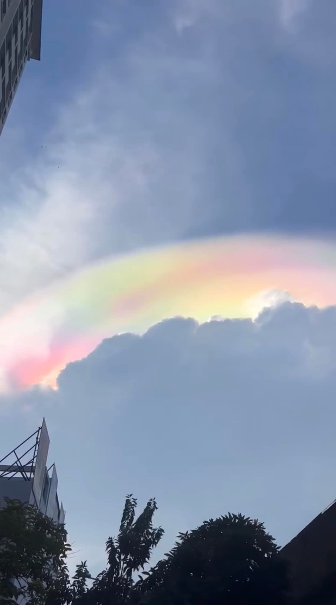 Ky dieu may ngu sac xuat hien tren bau troi TP HCM-Hinh-3