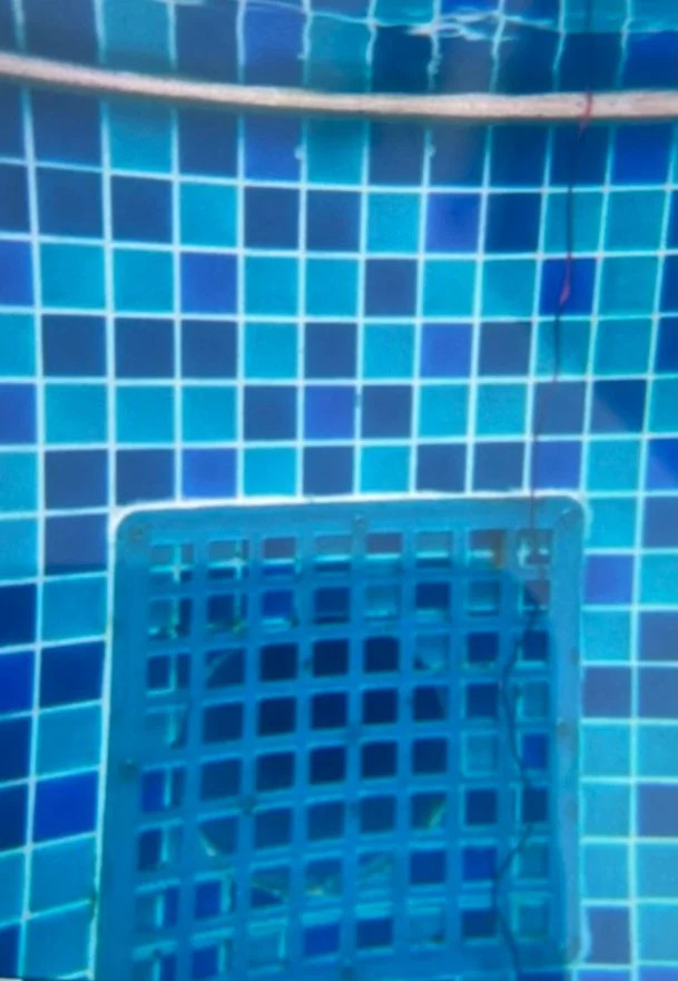 Vu chau be nguoi Nhat tu vong o ho boi: Da co ket luan giam dinh-Hinh-3