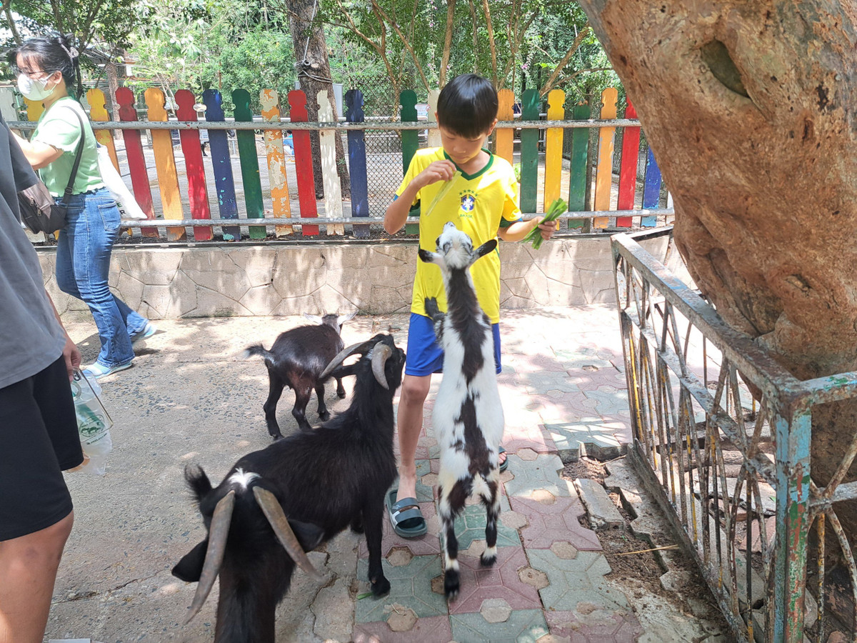 Thao Cam vien Sai Gon tron 160 tuoi-Hinh-10