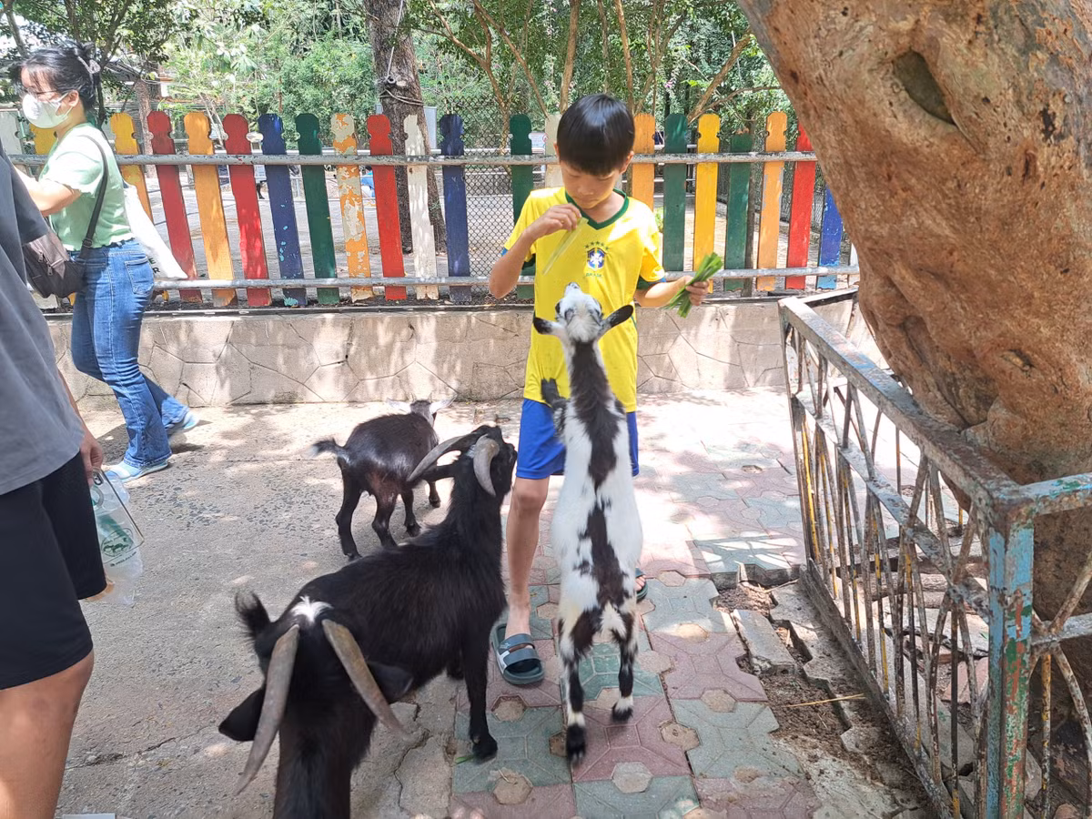 Thao Cam vien Sai Gon tron 160 tuoi-Hinh-10