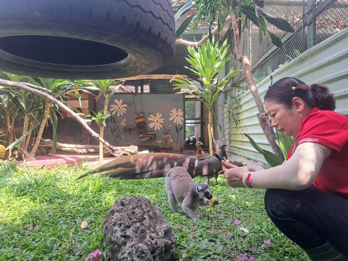 Thao Cam vien Sai Gon tron 160 tuoi-Hinh-11