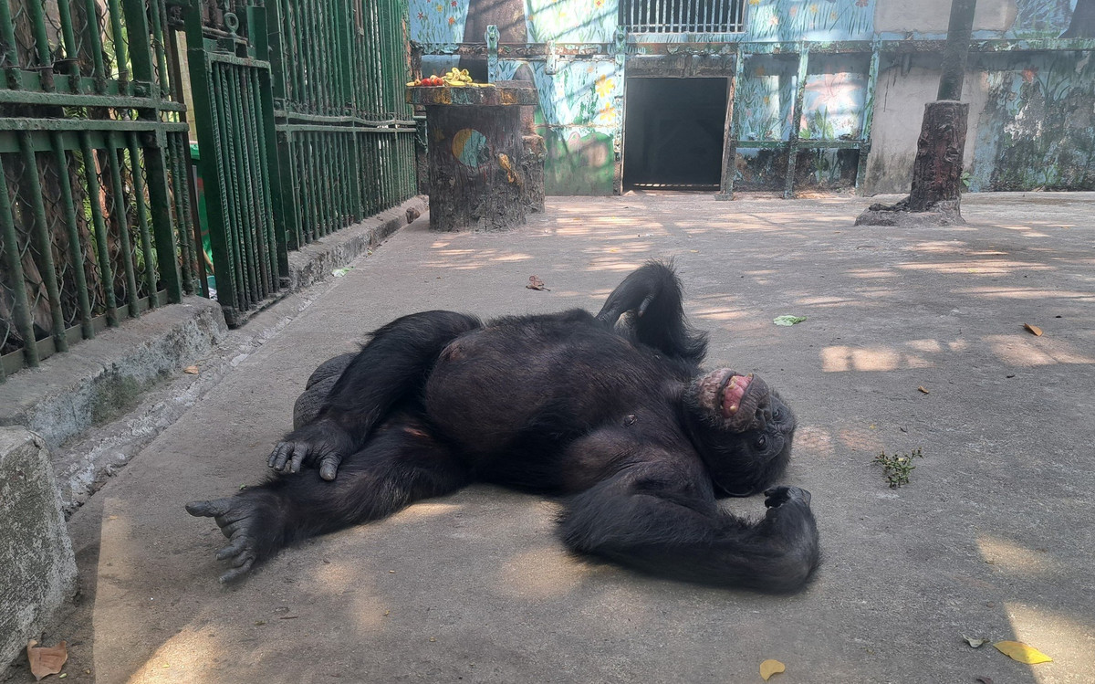 Thao Cam vien Sai Gon tron 160 tuoi-Hinh-5