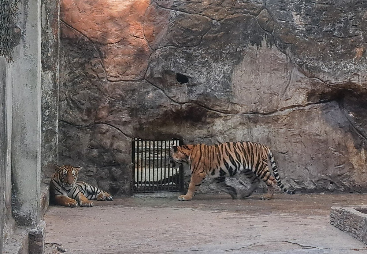 Thao Cam vien Sai Gon tron 160 tuoi-Hinh-7