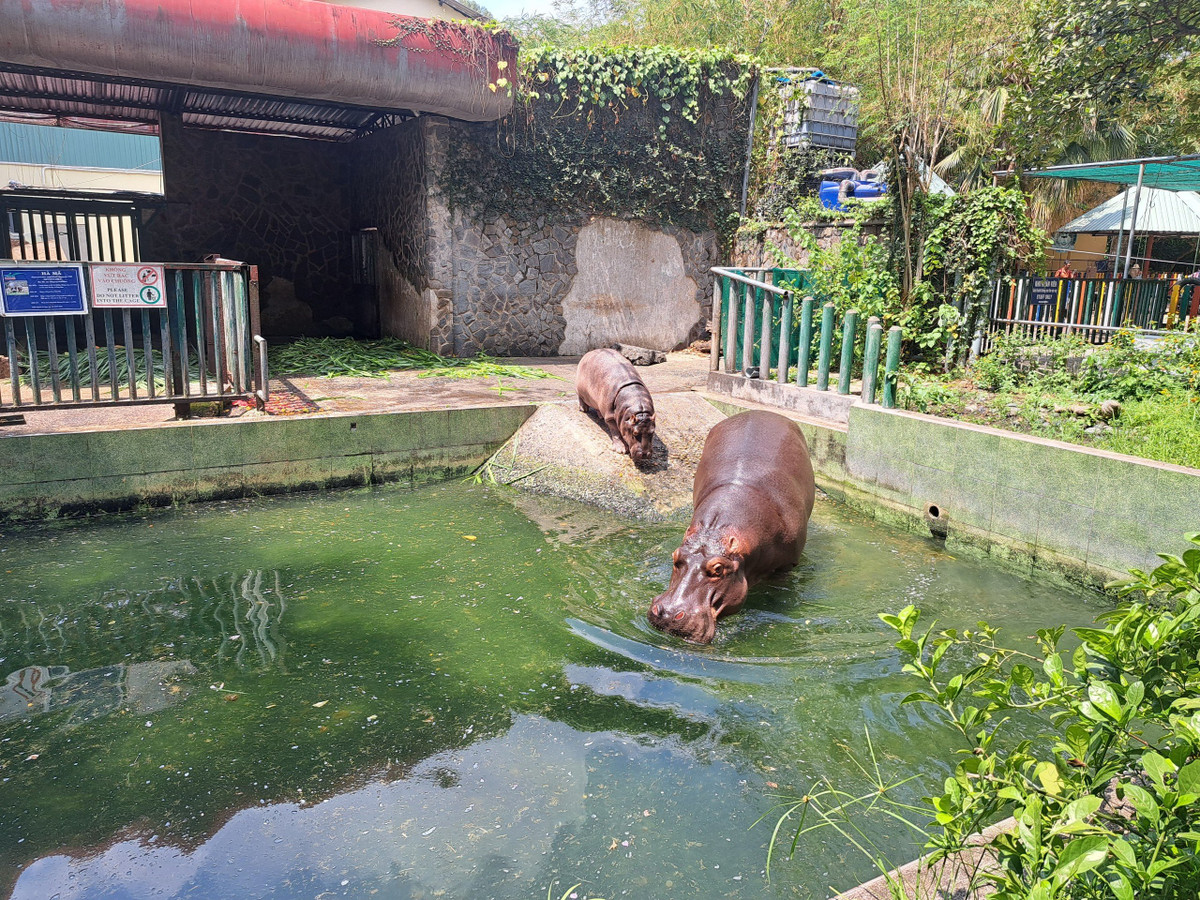 Thao Cam vien Sai Gon tron 160 tuoi-Hinh-4