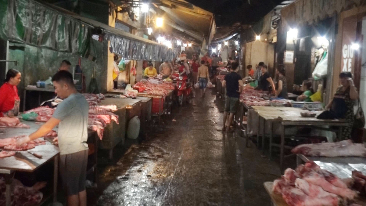 Dong Nai: Trang dem cung luc luong truy bat cac lo mo heo lau-Hinh-9