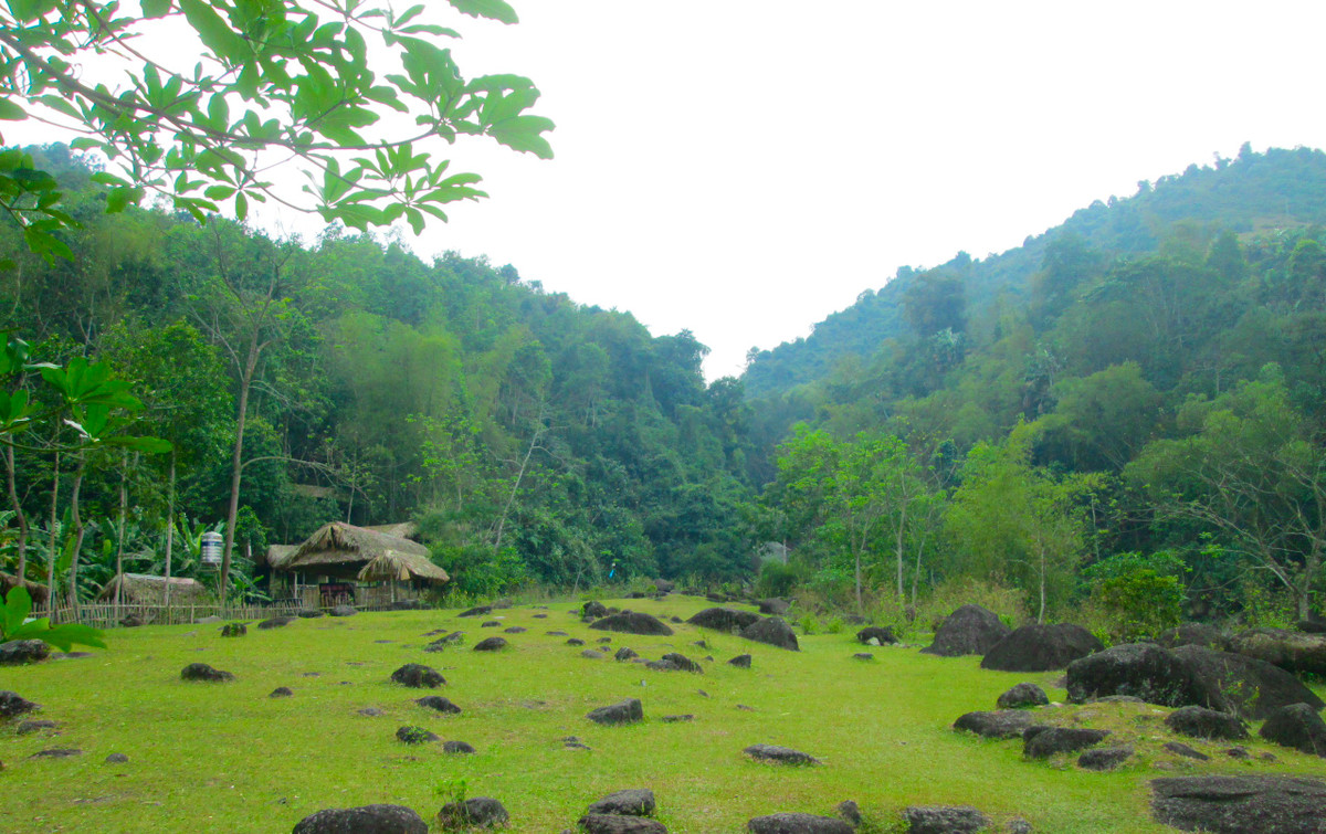 Thảm cỏ xanh mướt trên đường vào suối thác. Ảnh: Thủy Tiên