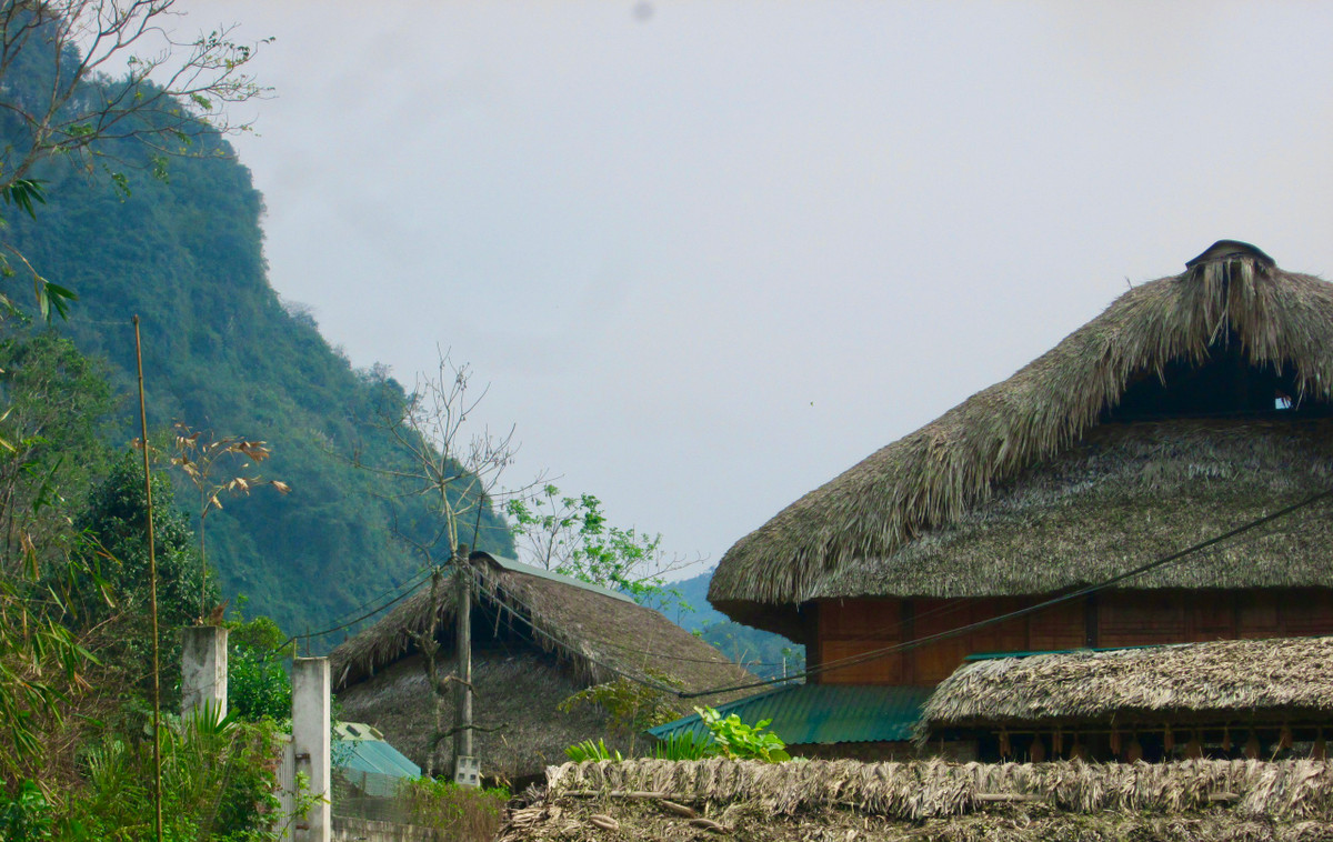 Mái nhà lợp bằng lá cọ tạo nên vẻ đẹp của sự mộc mạc, ấm áp. Ảnh: Thủy Tiên
