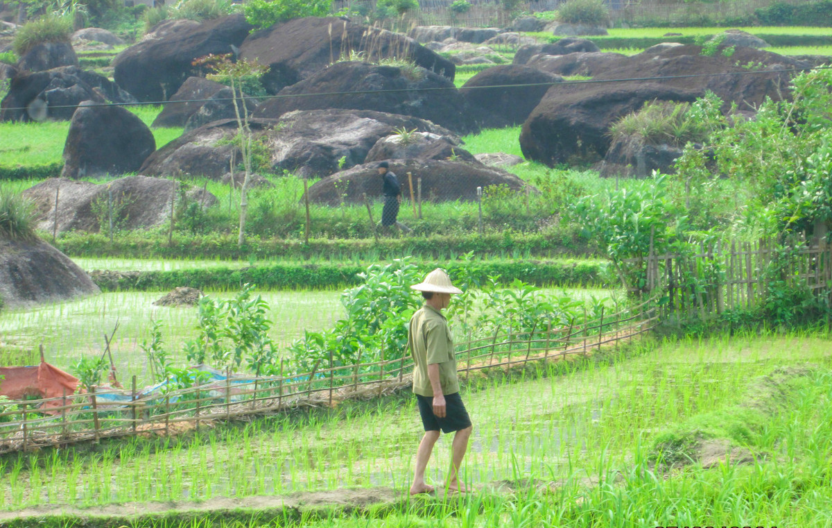 Người dân Thôn Hạ đi thăm ruộng đồng. Ảnh: Thủy Tiên