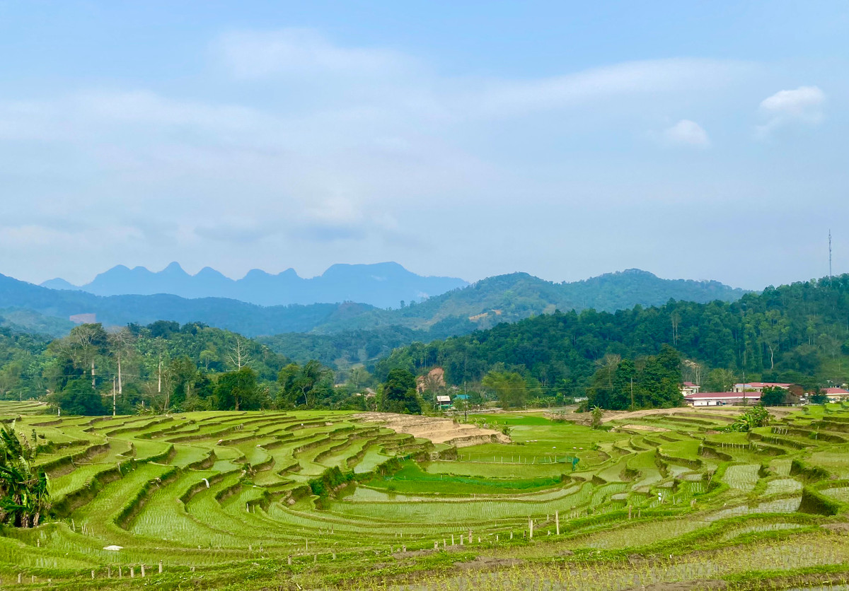 Ruộng bậc thang vành móng ngựa xanh rì của dân làng tô điểm cho cảnh đẹp Thôn Hạ. Ảnh: Thủy Tiên