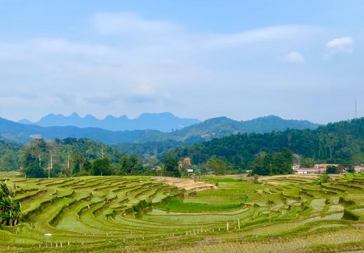Ruộng bậc thang vành móng ngựa xanh rì của dân làng tô điểm cho cảnh đẹp Thôn Hạ. Ảnh: Thủy Tiên