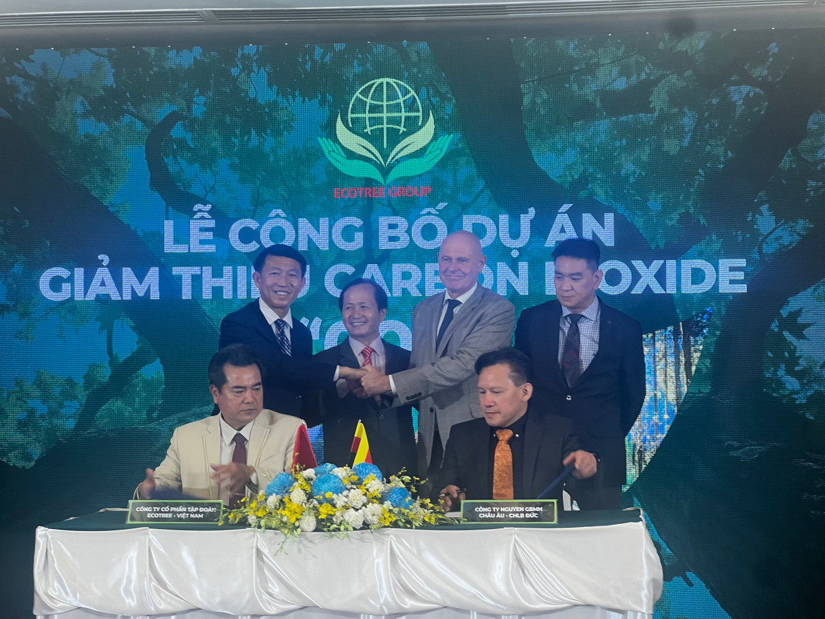 Nguon loi lon cho Viet Nam tu hanh dong giam thieu carbon dioxide CO2-Hinh-6