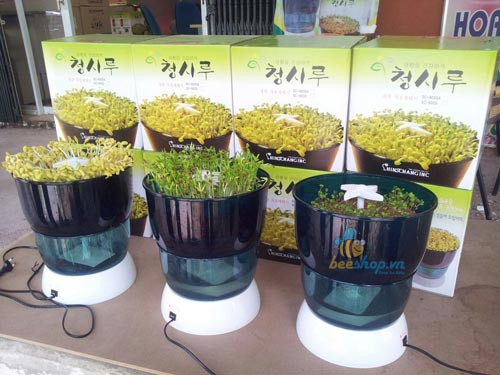 Tuy nhiên, nhược điểm của thiết bị này là cho số lượng rau mầm không nhiều. Ngoài ra, khi sử dụng, do nghĩ rằng tưới nước tự động nên nhiều người không chú ý thay nước sạch thường xuyên, nước tưới đi tưới lại nhiều lần dễ có mùi khó chịu.