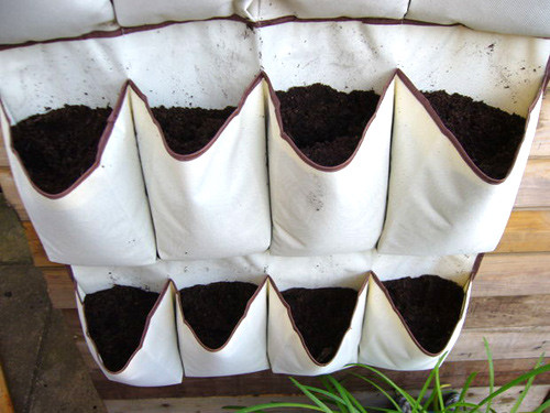 Dùng đất tribat để nuôi rau, người sử dụng chỉ cần treo túi vải lên tường để gieo trồng.